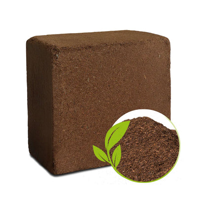 Styleva Organic Cocopeat Block, 1 KG, shown ready for use in home gardening.