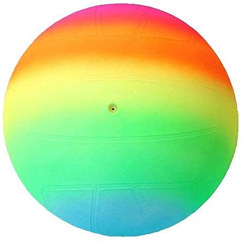 Group of children playing with the multi-colored Kids Beach Ball on a sunny day.