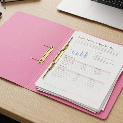 Cardboard file folder in professional finish